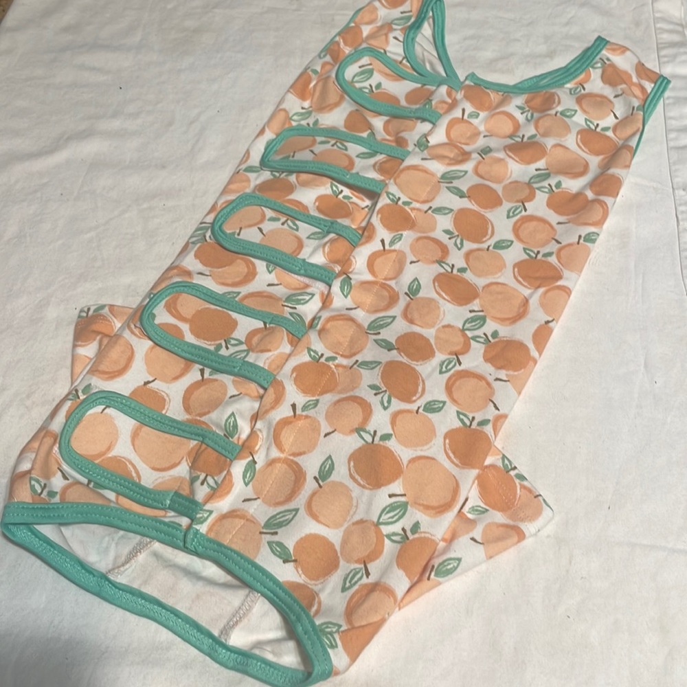 Surgical suit for dog